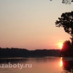 zabot-org646f7f3bc94948_94036152.jpg